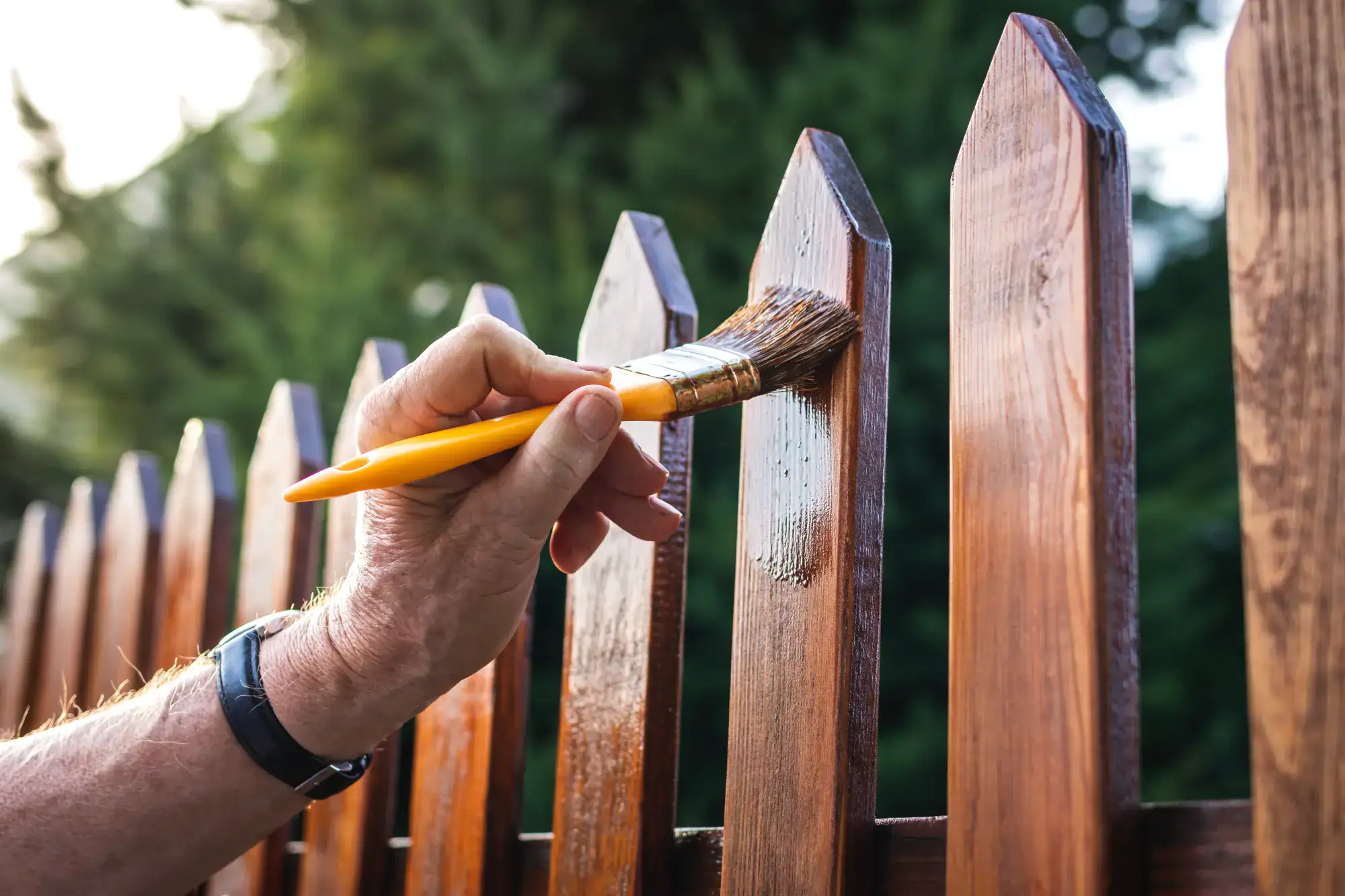 A person wearing a watch, possibly a handyman Davidson & Williamson County, paints a wooden picket fence with brown stain. Green, blurred trees in TN form the peaceful background.